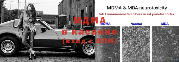 прущие грибы Алексеевка