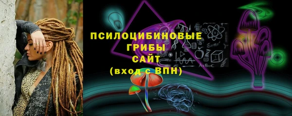 прущие грибы Алексеевка