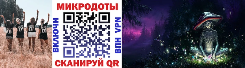 kraken зеркало  Камышин  Галлюциногенные грибы Psilocybine cubensis 